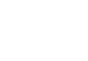 Disroi