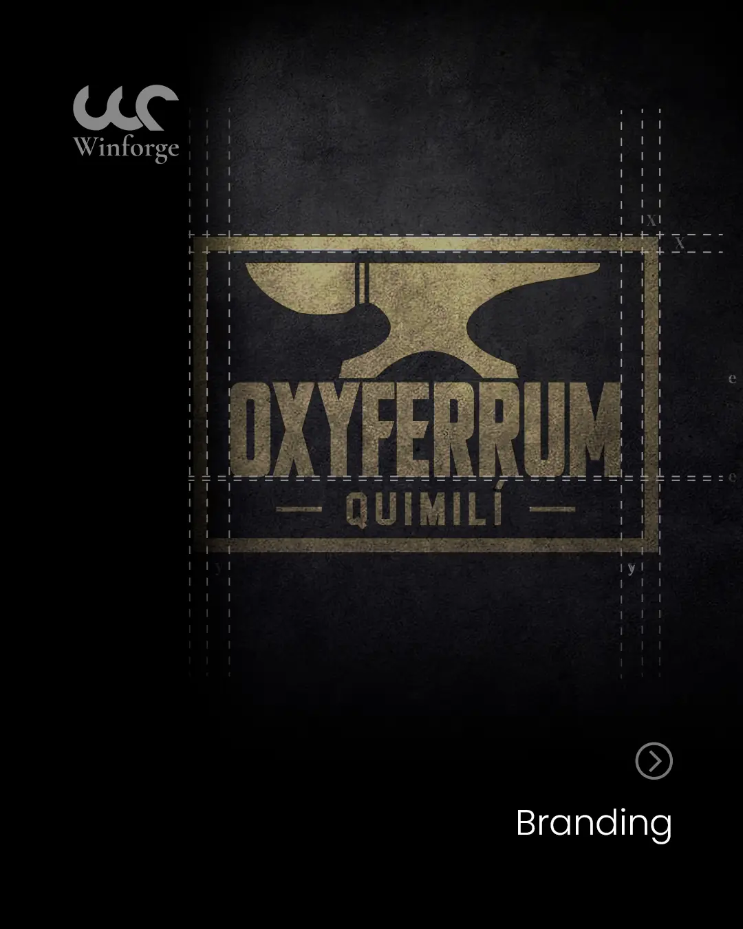 Portada del proyecto de Oxyferrum Quimilí